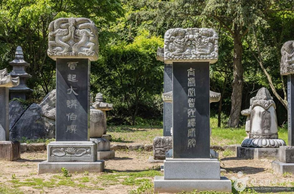고창 선운사 — 도솔산 동백·꽃무릇 도량
