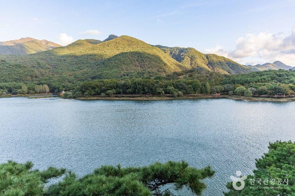 괴산 산막이옛길 괴산호 절경