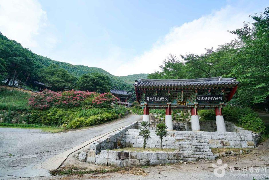 창녕 화왕산