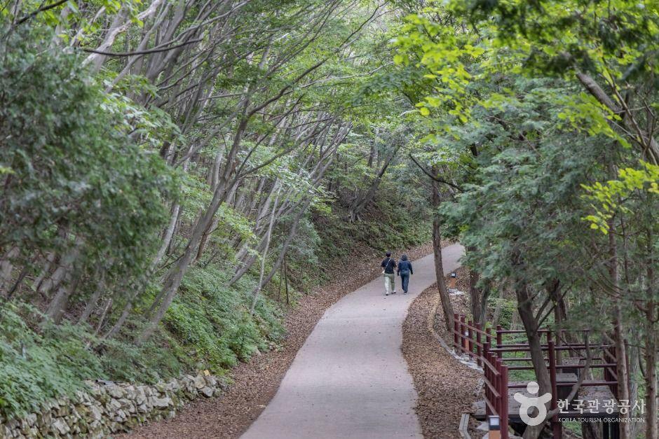 남해 금산 보리암