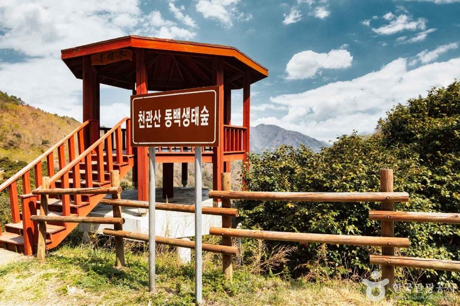 장흥 천관산