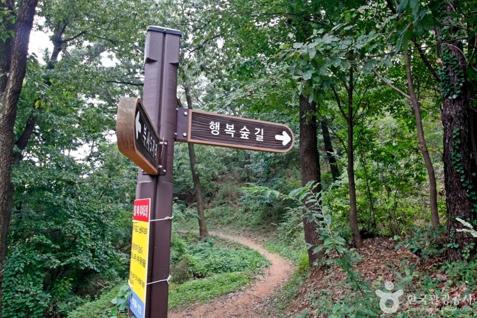 보문산 보물 명당 (대전 중구 진산)