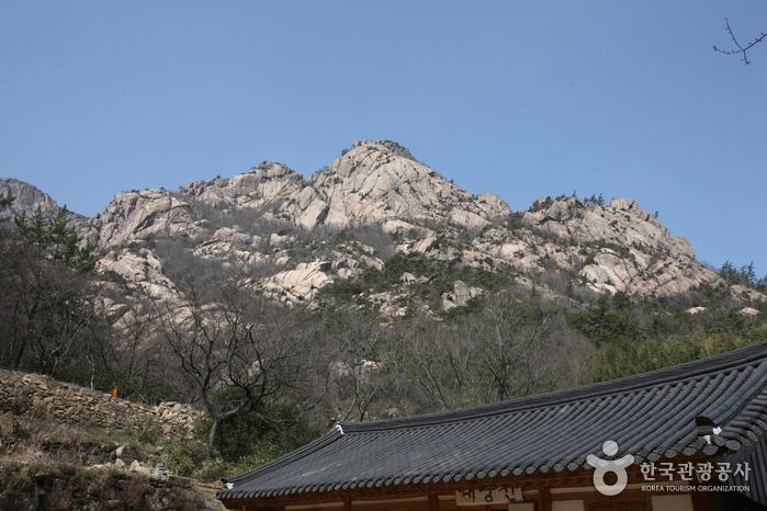 영암 월출산 — 호남의 금강산 기암 영봉