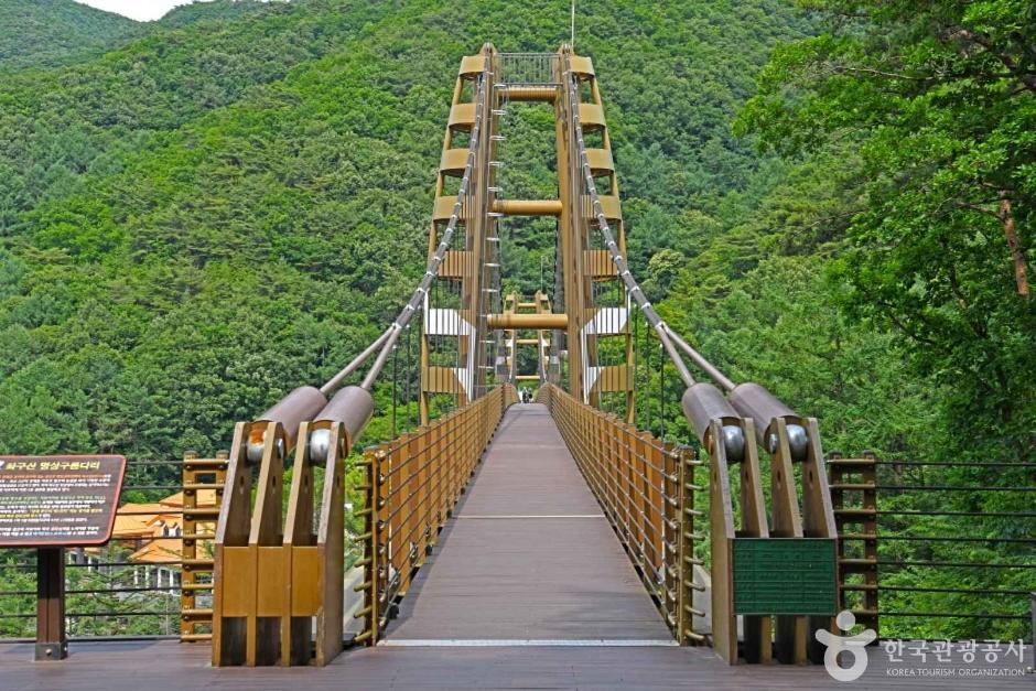 증평 좌구산 거북 형국 천문대