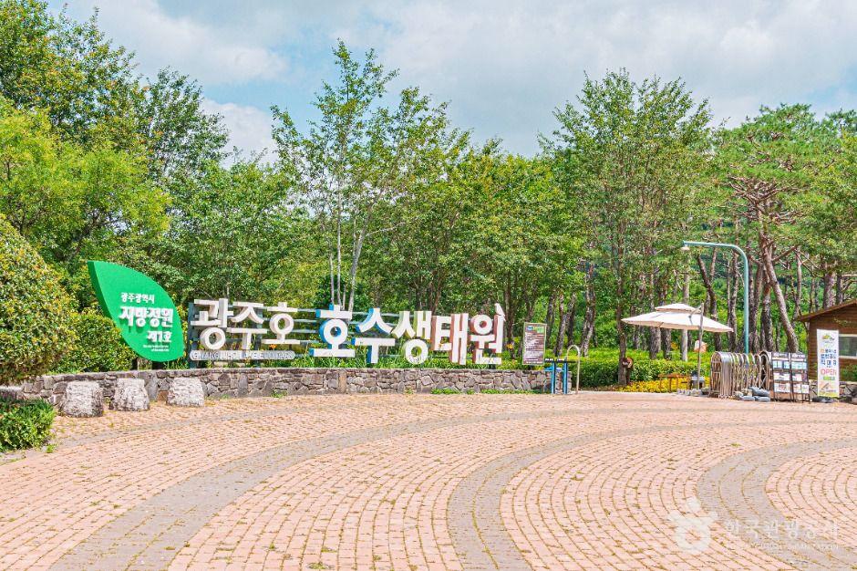 광주호 호수생태원 — 무등산 자락 수변 생태 길지