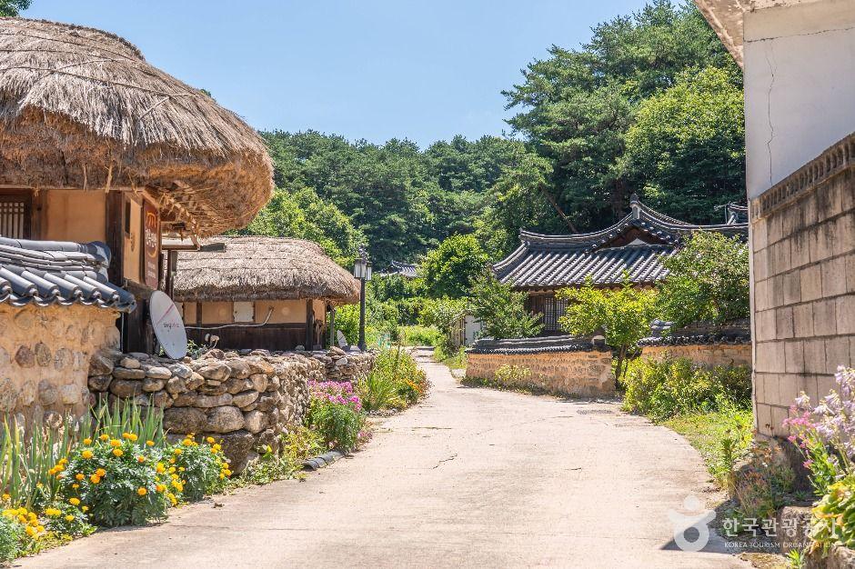 영주 무섬마을 — 낙동강 지류 둘러싼 배산임수 양택