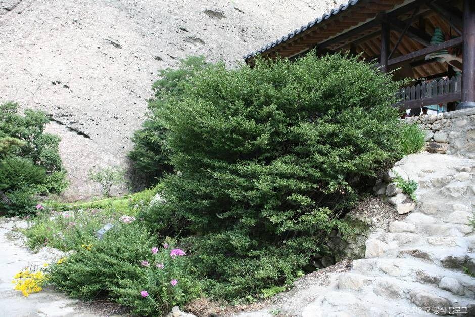 진안 마이산 — 천연 암봉 두 봉우리