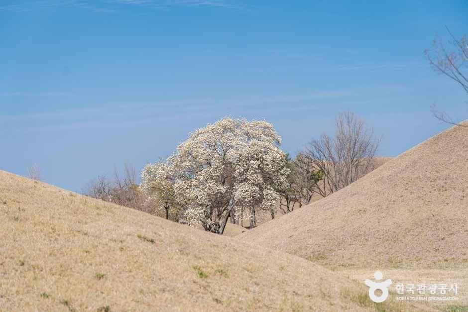 경주 대릉원 — 신라 왕릉군