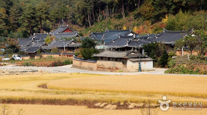 봉화 닭실마을 — 충재 권벌 종택
