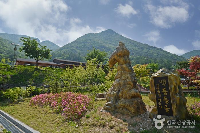평창강 백룡동굴 — 수중 종유굴 결절